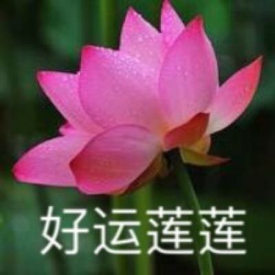 开云(kaiyun)·体育官方网站